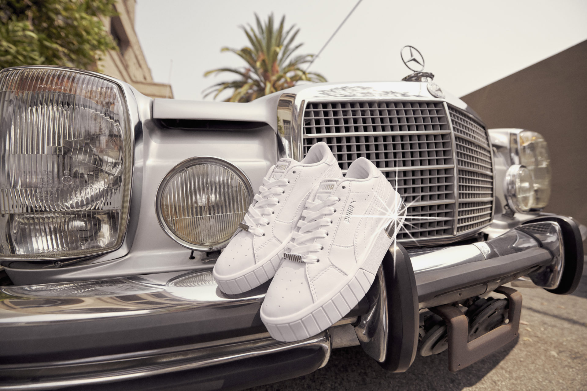 Nuevas puma cali sale